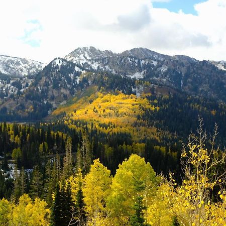 Cottonwood Heights - Lower Level Of Mountain Home! Экстерьер фото