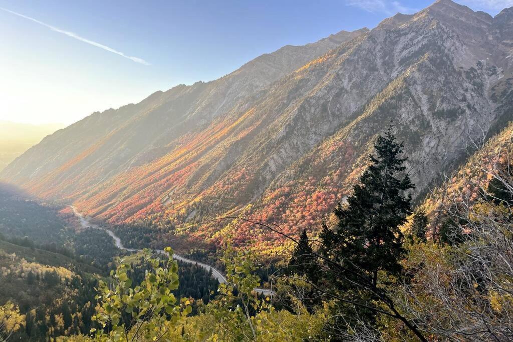Cottonwood Heights - Lower Level Of Mountain Home! Экстерьер фото