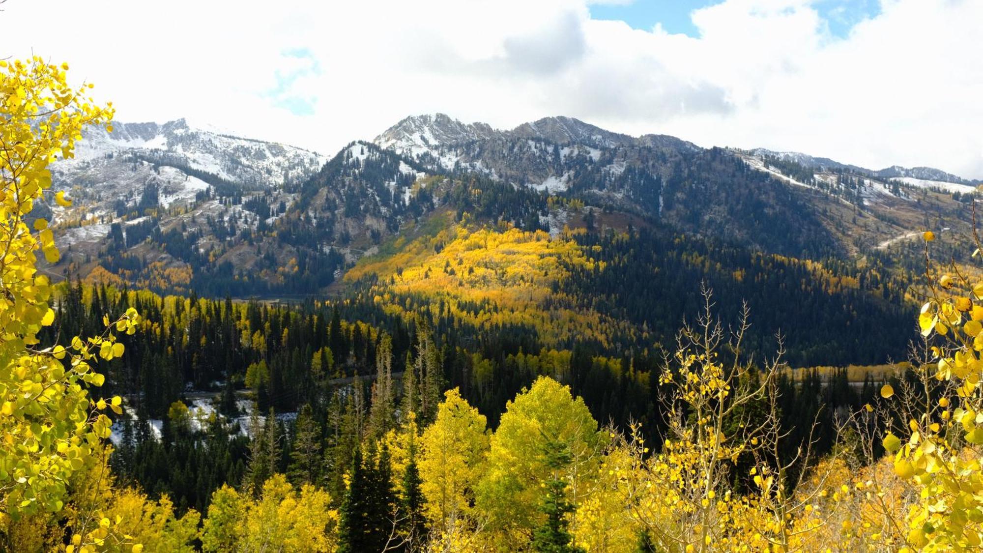 Cottonwood Heights - Lower Level Of Mountain Home! Экстерьер фото